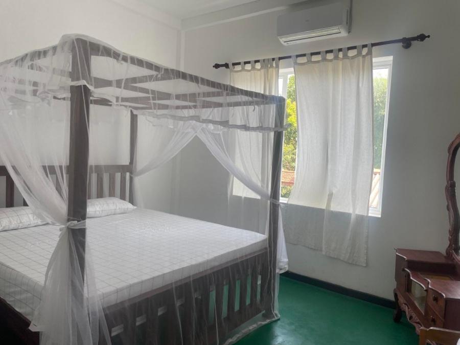 Why Not Backpackers Hostel Mirissa Exterior photo