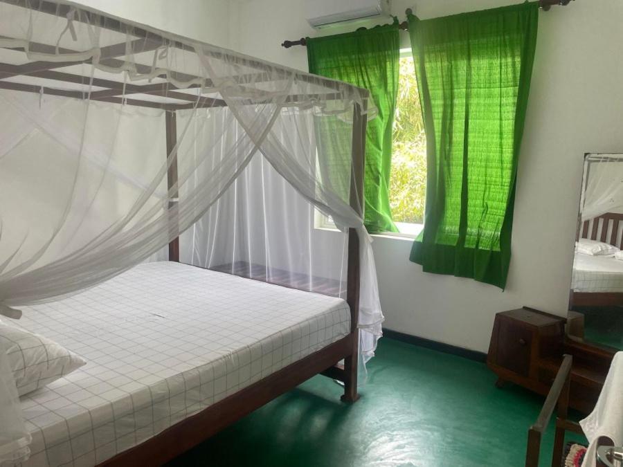 Why Not Backpackers Hostel Mirissa Exterior photo