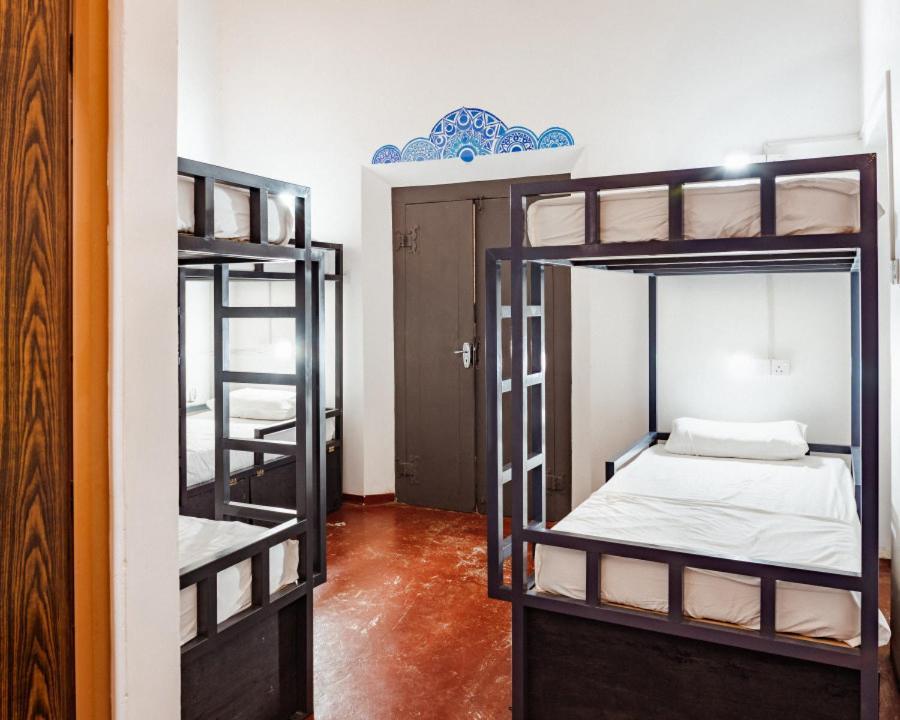Why Not Backpackers Hostel Mirissa Exterior photo