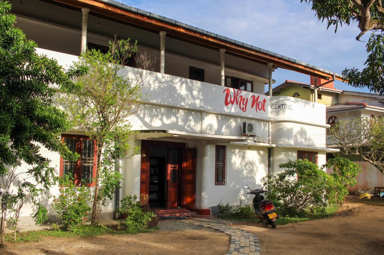 Why Not Backpackers Hostel Mirissa Exterior photo