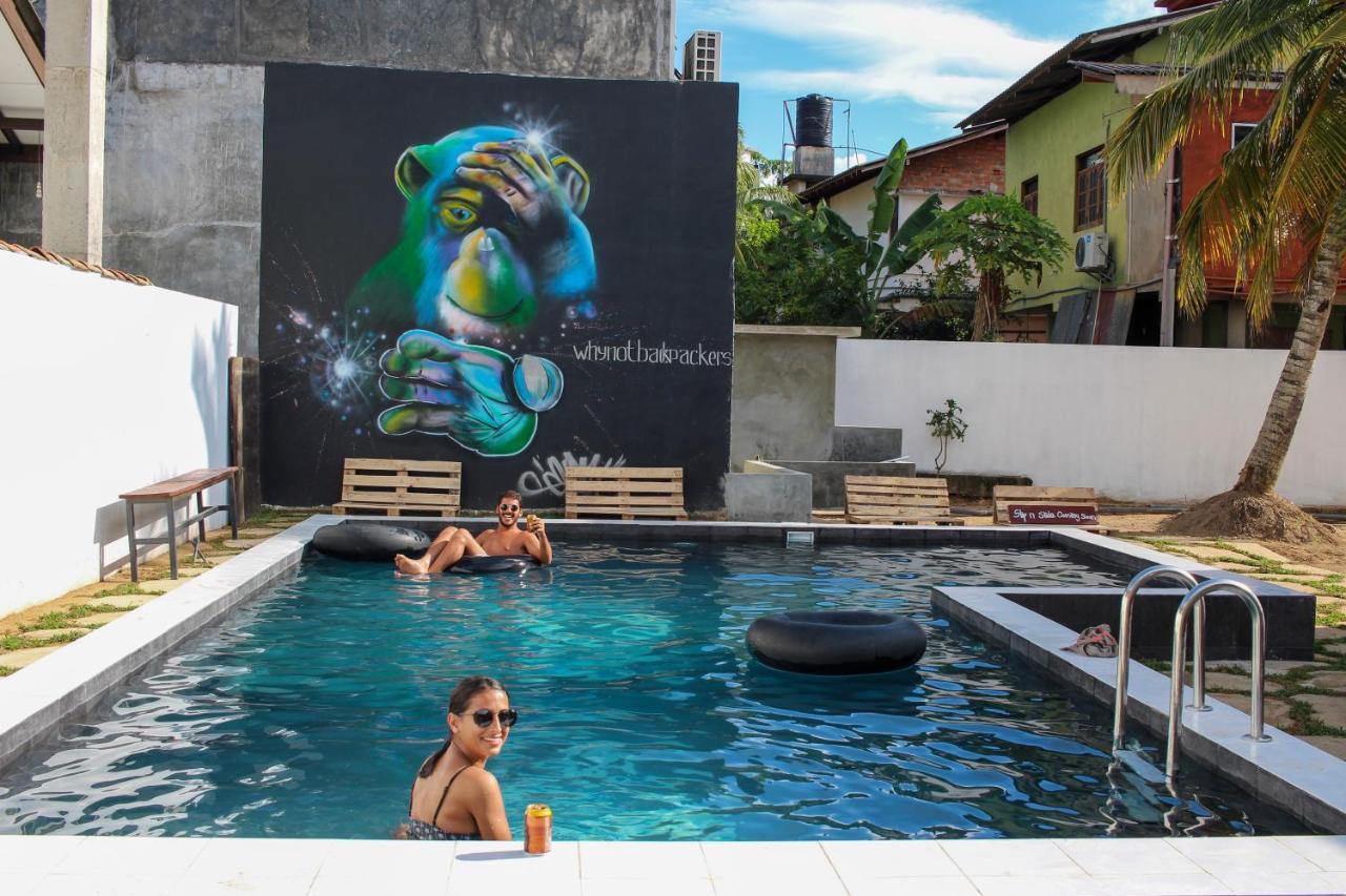 Why Not Backpackers Hostel Mirissa Exterior photo