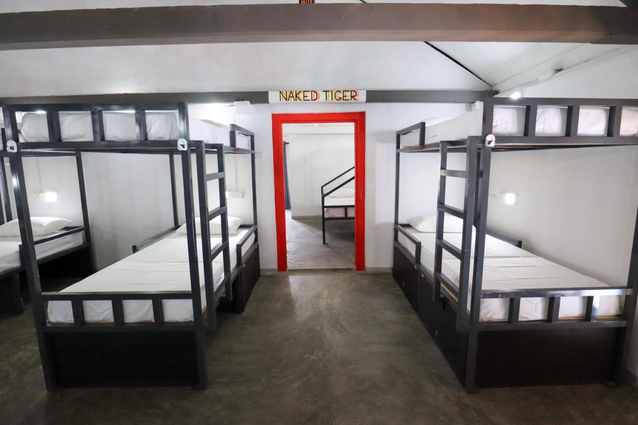 Why Not Backpackers Hostel Mirissa Exterior photo